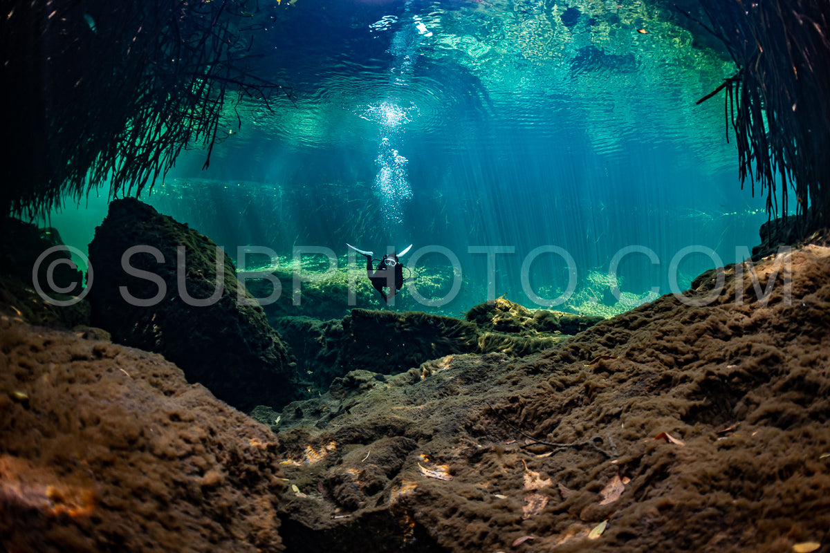 cave diver instructor leading a group of divers in a mexican cenote underwater