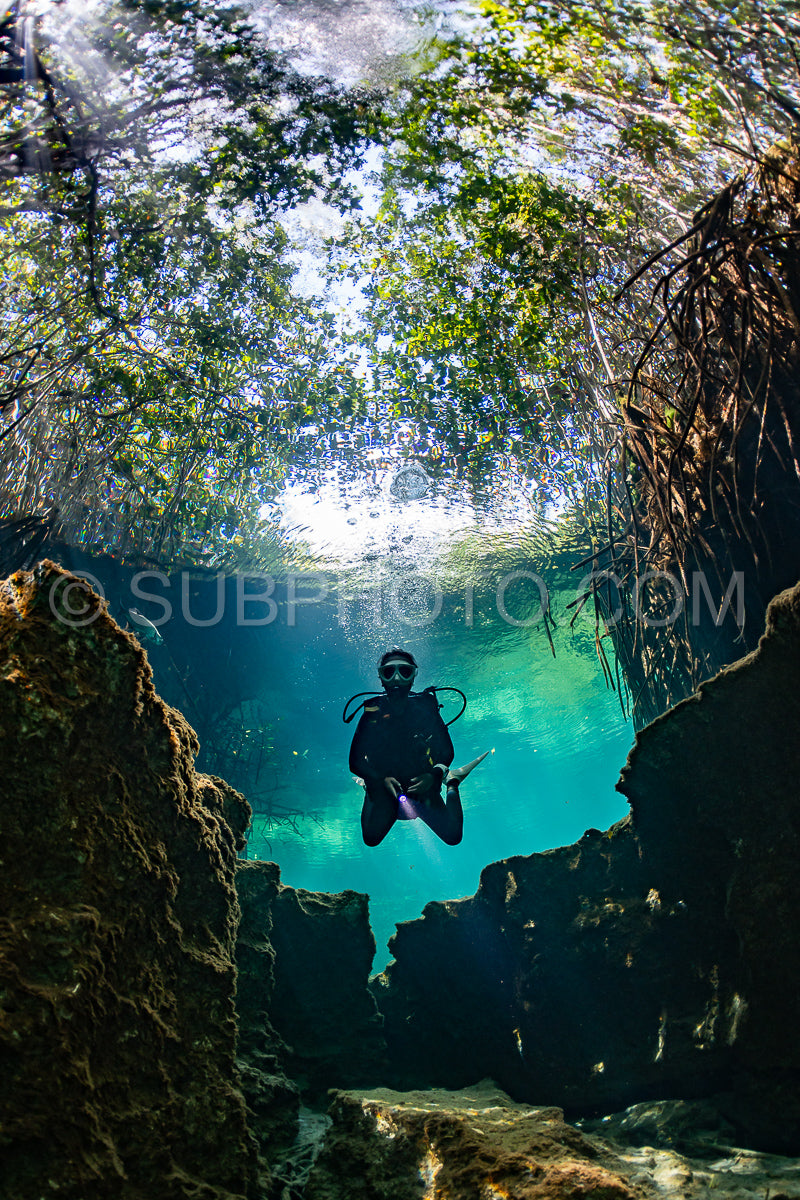 Photo de instructeur de plongée spéléo dirigeant un groupe de plongeurs dans un cenote mexicain sous l'eau
