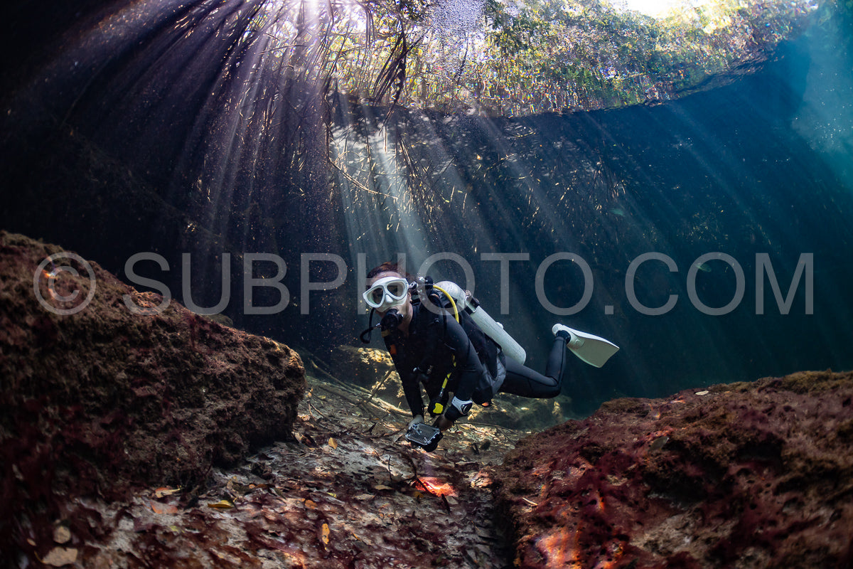 cave diver instructor leading a group of divers in a mexican cenote underwater