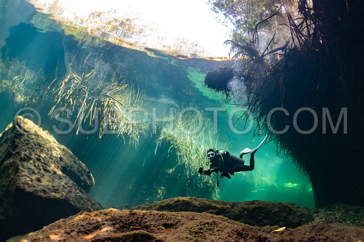 cave diver instructor leading a group of divers in a mexican cenote underwater