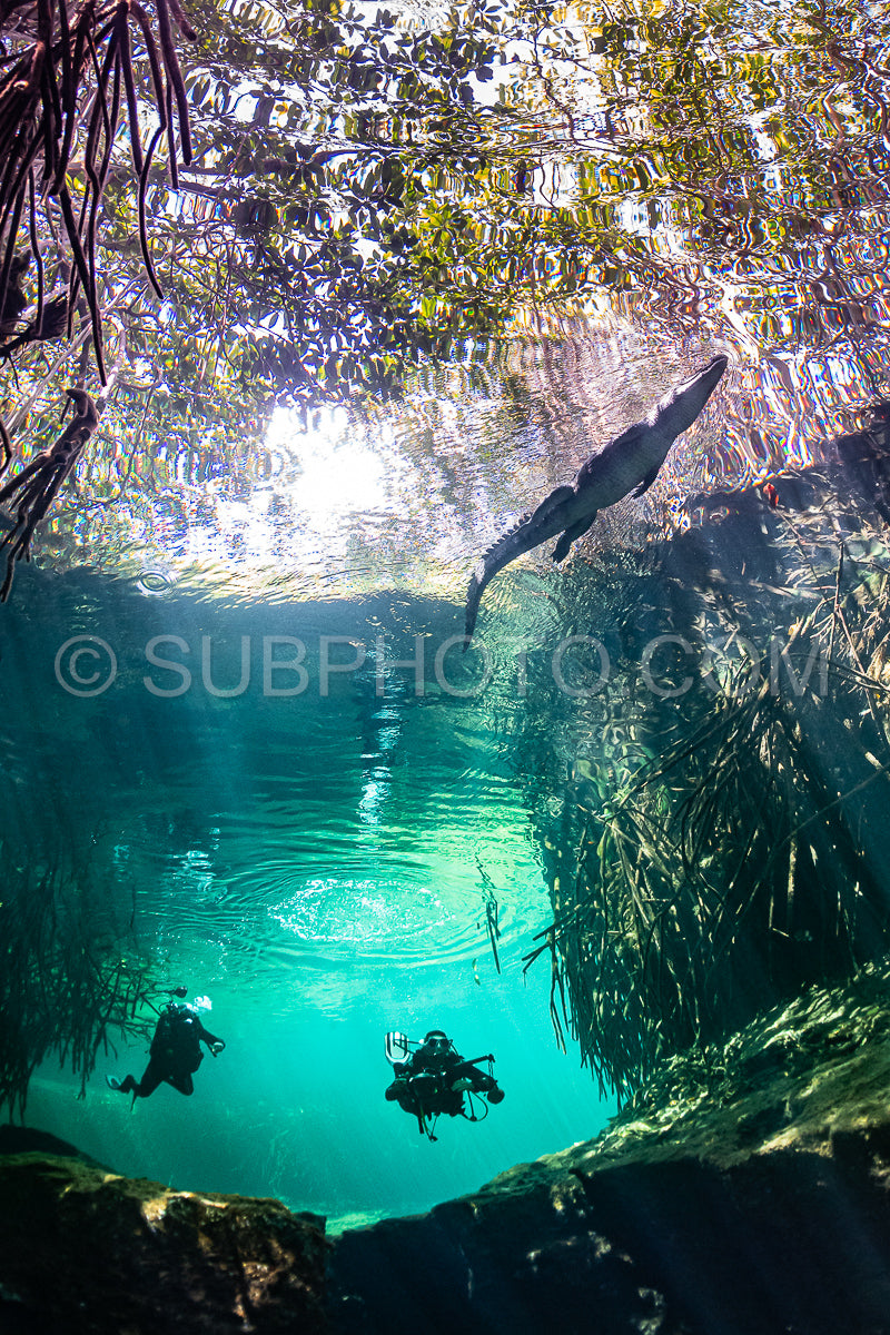 cave diver instructor leading a group of divers in a mexican cenote underwater