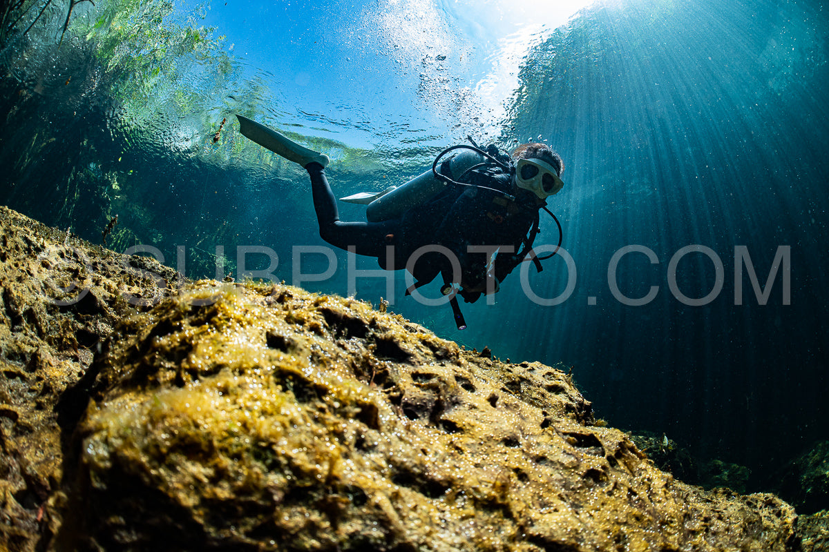 cave diver instructor leading a group of divers in a mexican cenote underwater