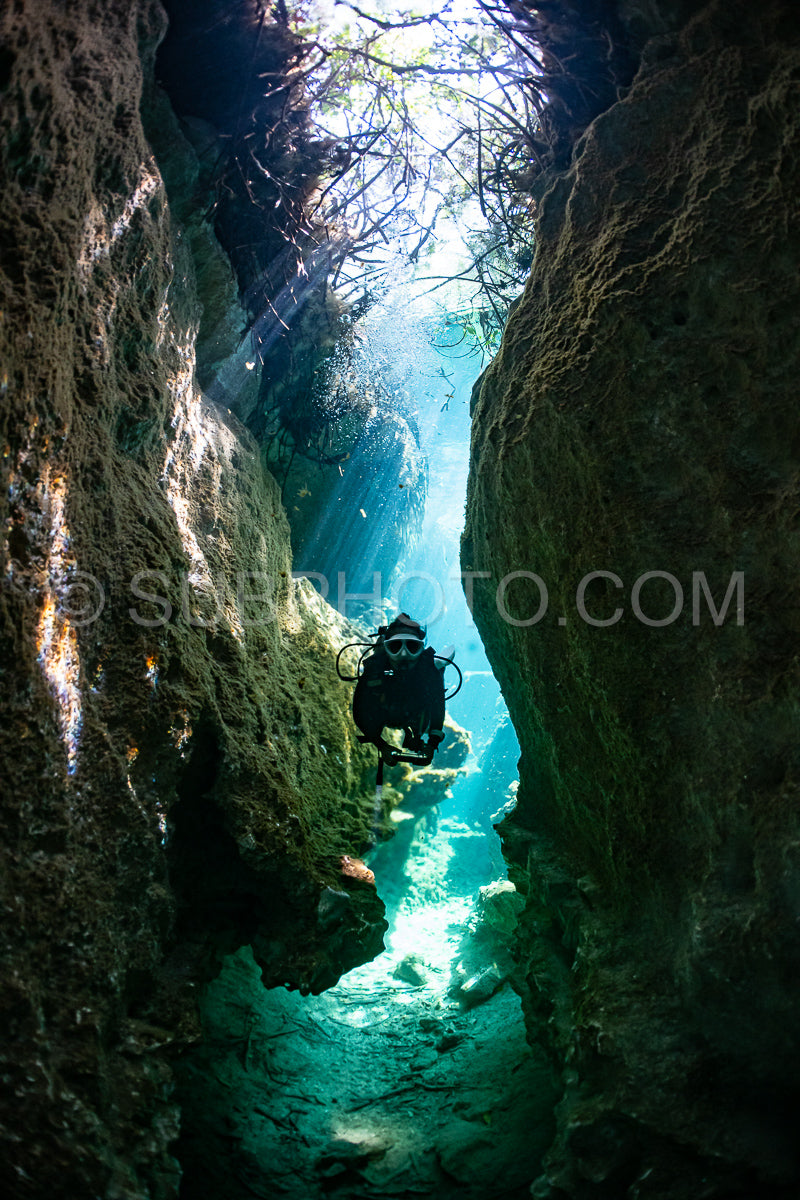 cave diver instructor leading a group of divers in a mexican cenote underwater