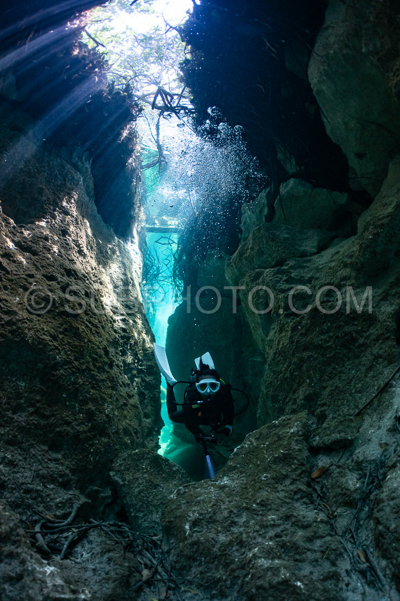 cave diver instructor leading a group of divers in a mexican cenote underwater