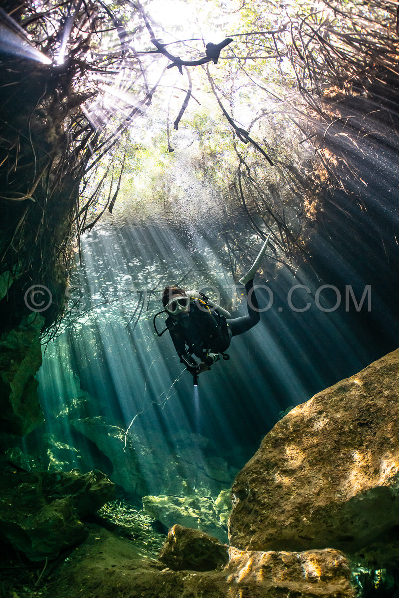 Photo de instructeur de plongée spéléo dirigeant un groupe de plongeurs dans un cenote mexicain sous l'eau