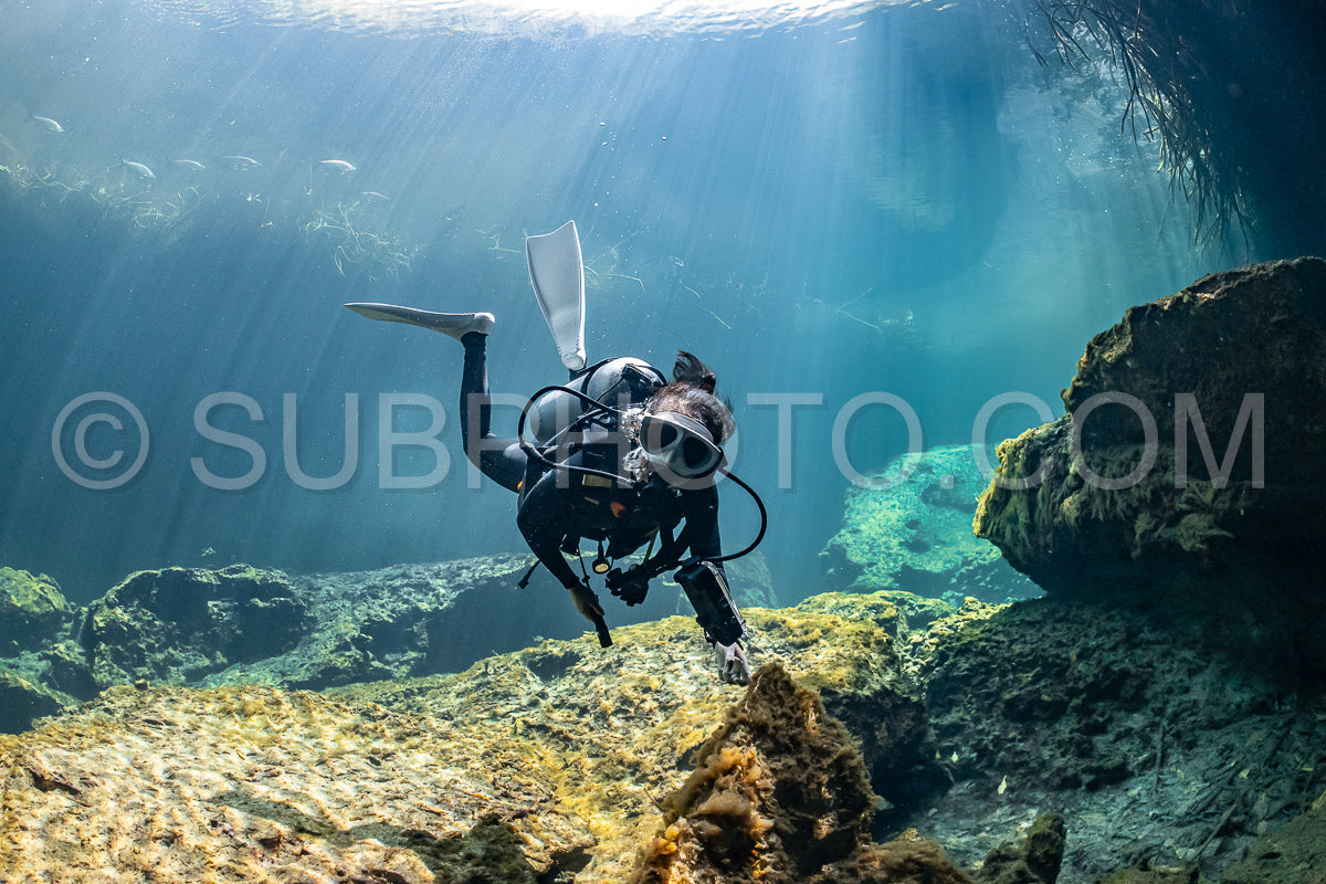 Photo de instructeur de plongée spéléo dirigeant un groupe de plongeurs dans un cenote mexicain sous l'eau