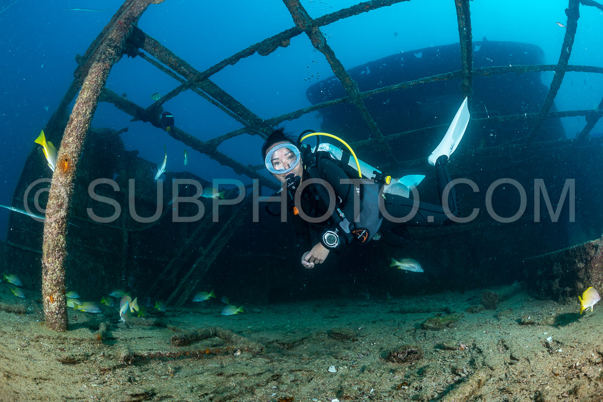 scuba diver over a wreck in the Sea of Cortez