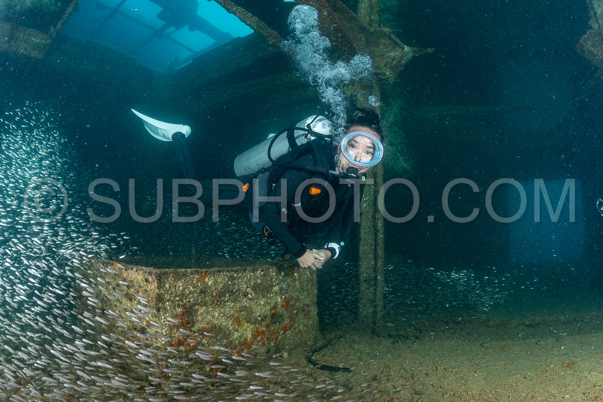 scuba diver over a wreck in the Sea of Cortez