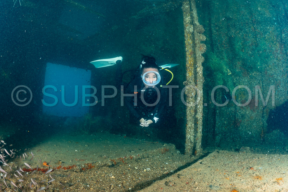 scuba diver over a wreck in the Sea of Cortez