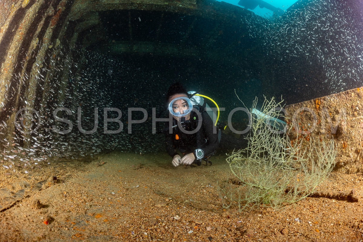 scuba diver over a wreck in the Sea of Cortez