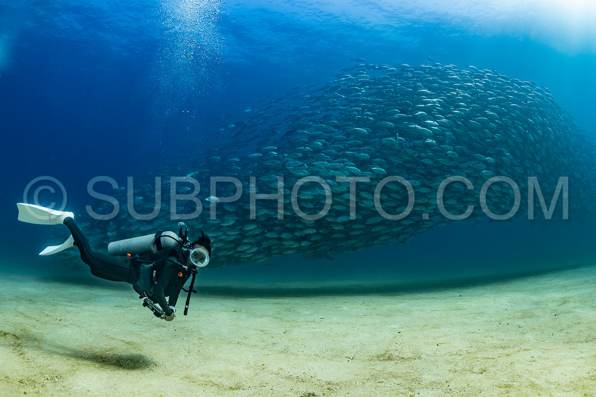 scuba diver with Cabo Pulmo jack tornado under sunny sky
