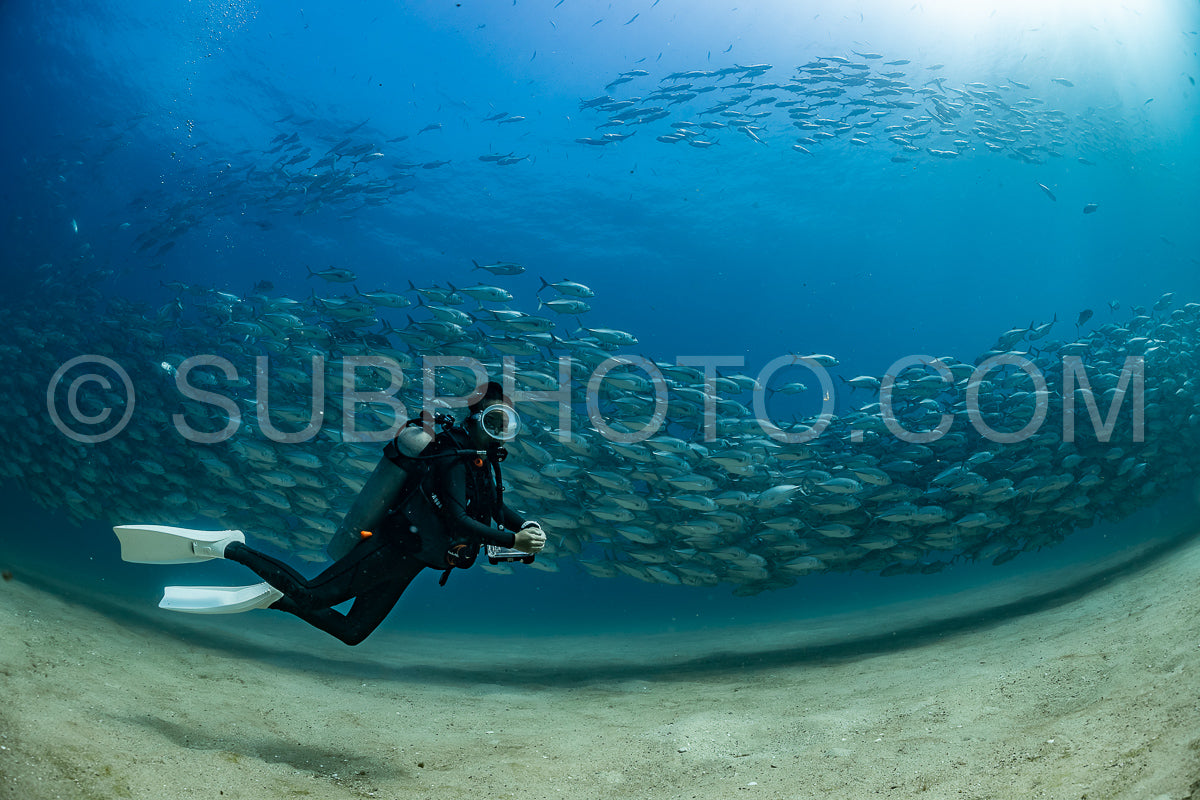 scuba diver with Cabo Pulmo jack tornado under sunny sky