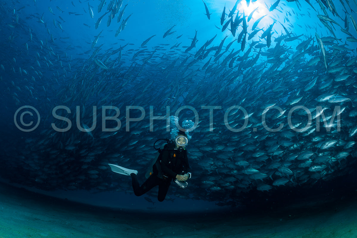scuba diver with Cabo Pulmo jack tornado under sunny sky