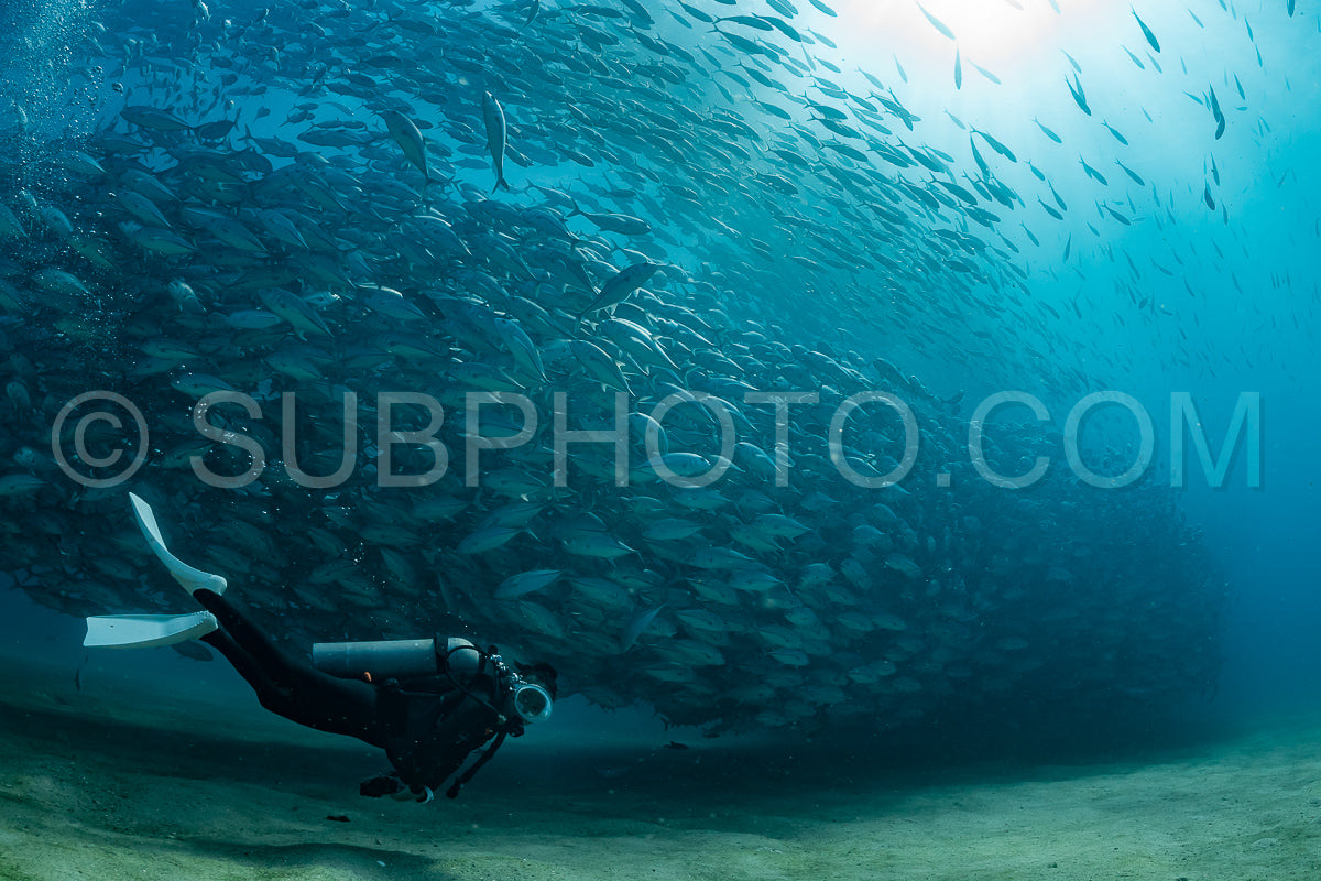 scuba diver with Cabo Pulmo jack tornado under sunny sky