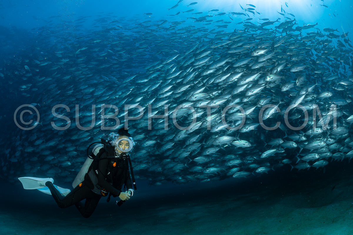 scuba diver with Cabo Pulmo jack tornado under sunny sky