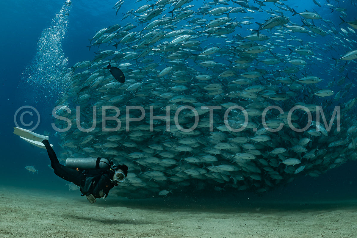 scuba diver with Cabo Pulmo jack tornado under sunny sky