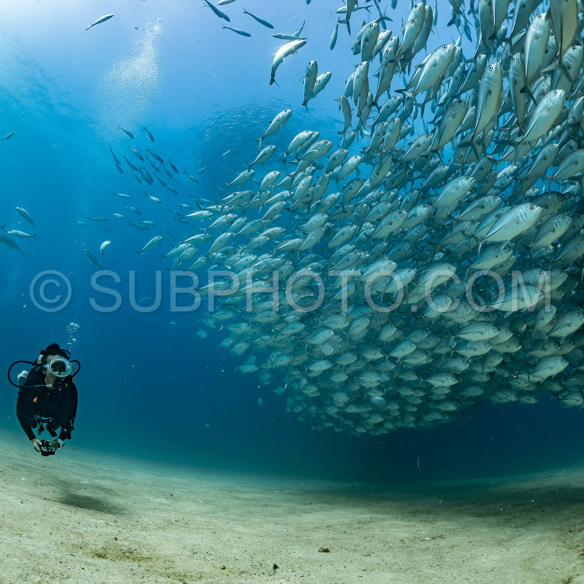 scuba diver with Cabo Pulmo jack tornado under sunny sky