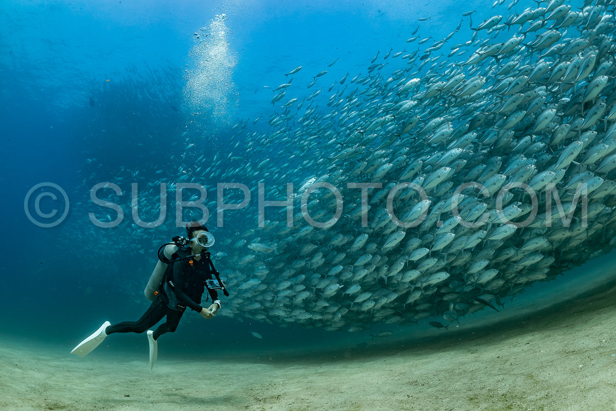 scuba diver with Cabo Pulmo jack tornado under sunny sky
