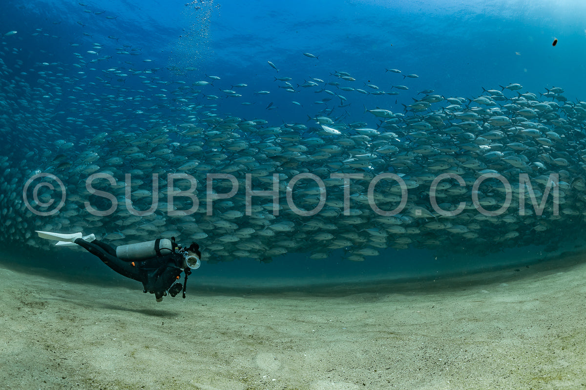 scuba diver with Cabo Pulmo jack tornado under sunny sky