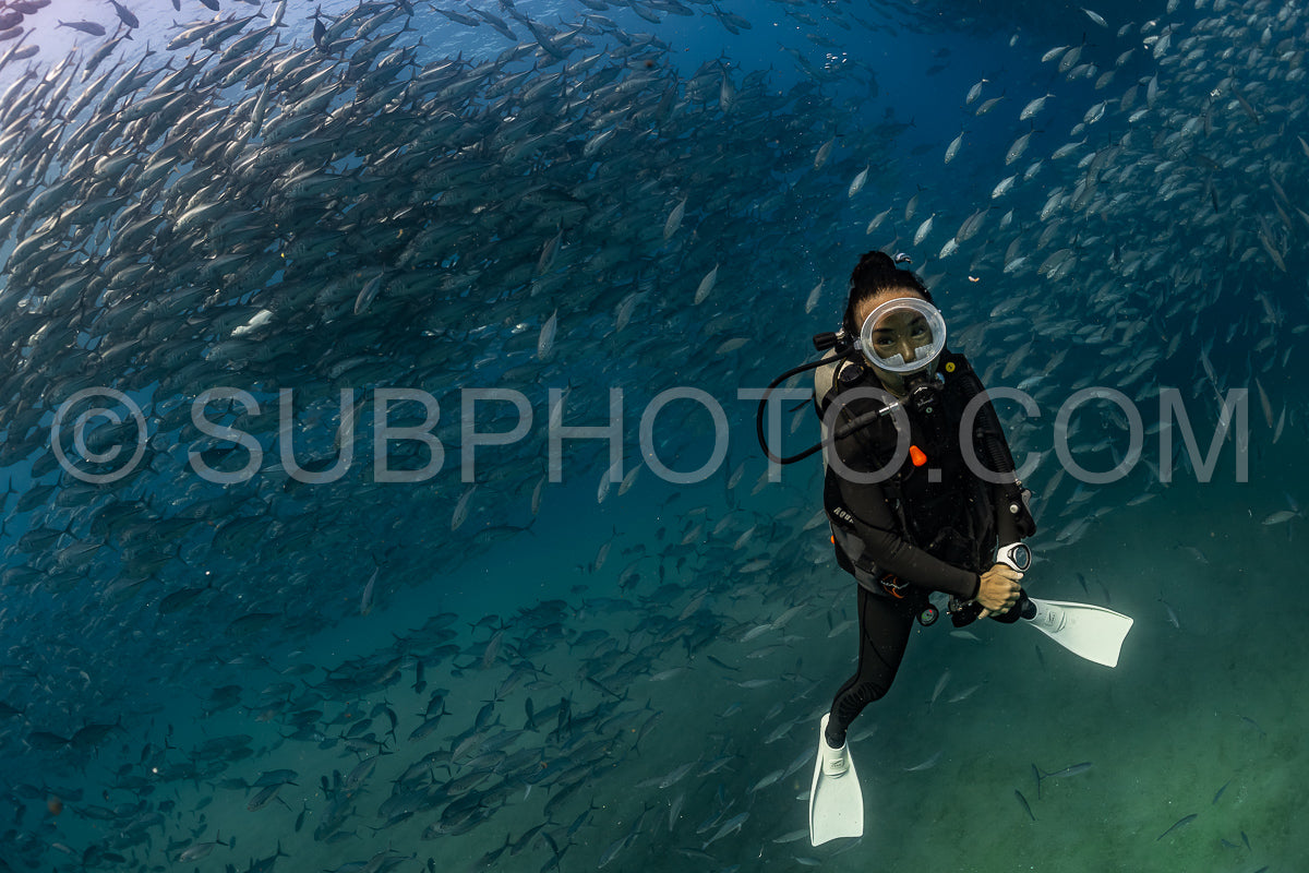 scuba diver with Cabo Pulmo jack tornado under sunny sky