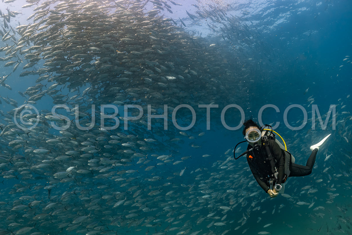 scuba diver with Cabo Pulmo jack tornado under sunny sky