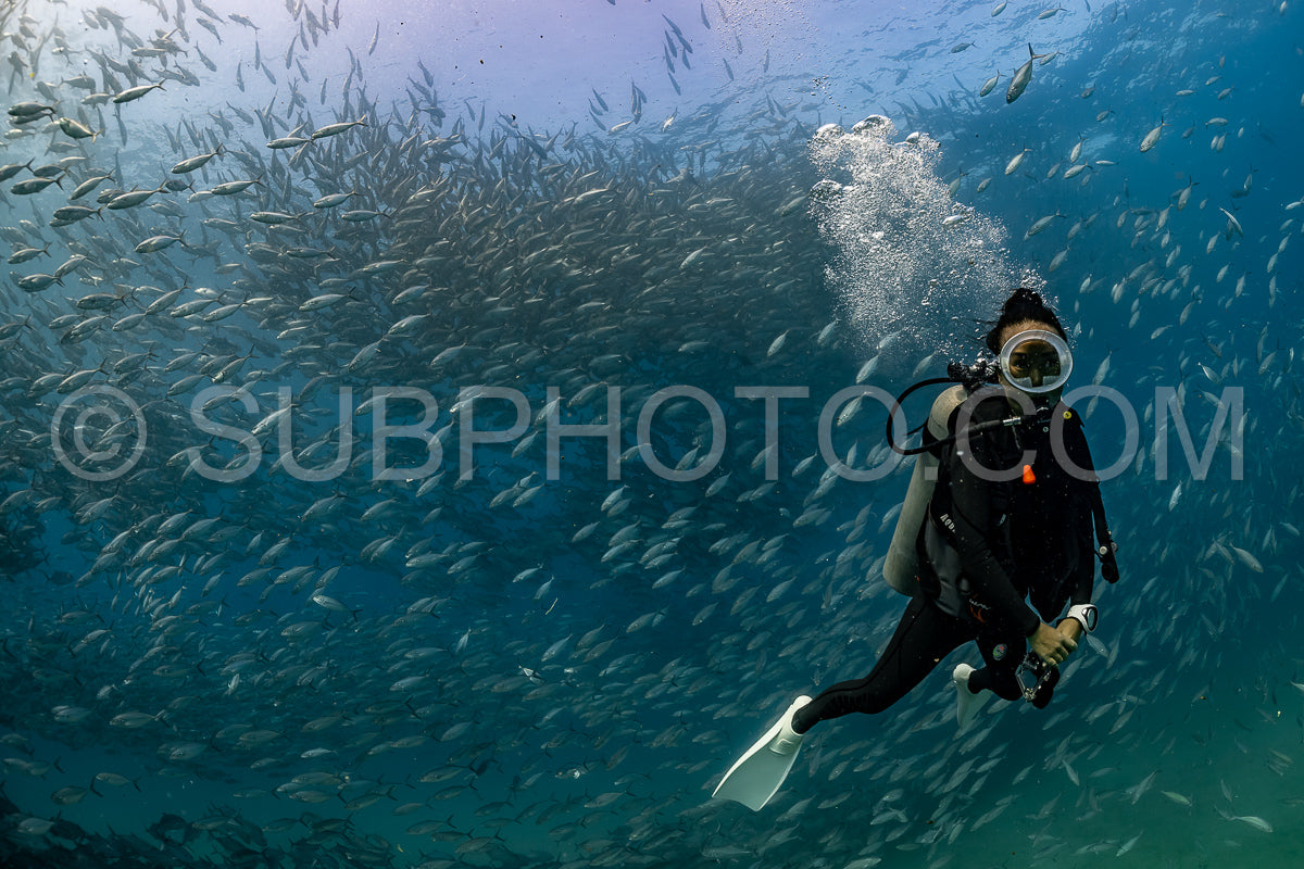 scuba diver with Cabo Pulmo jack tornado under sunny sky