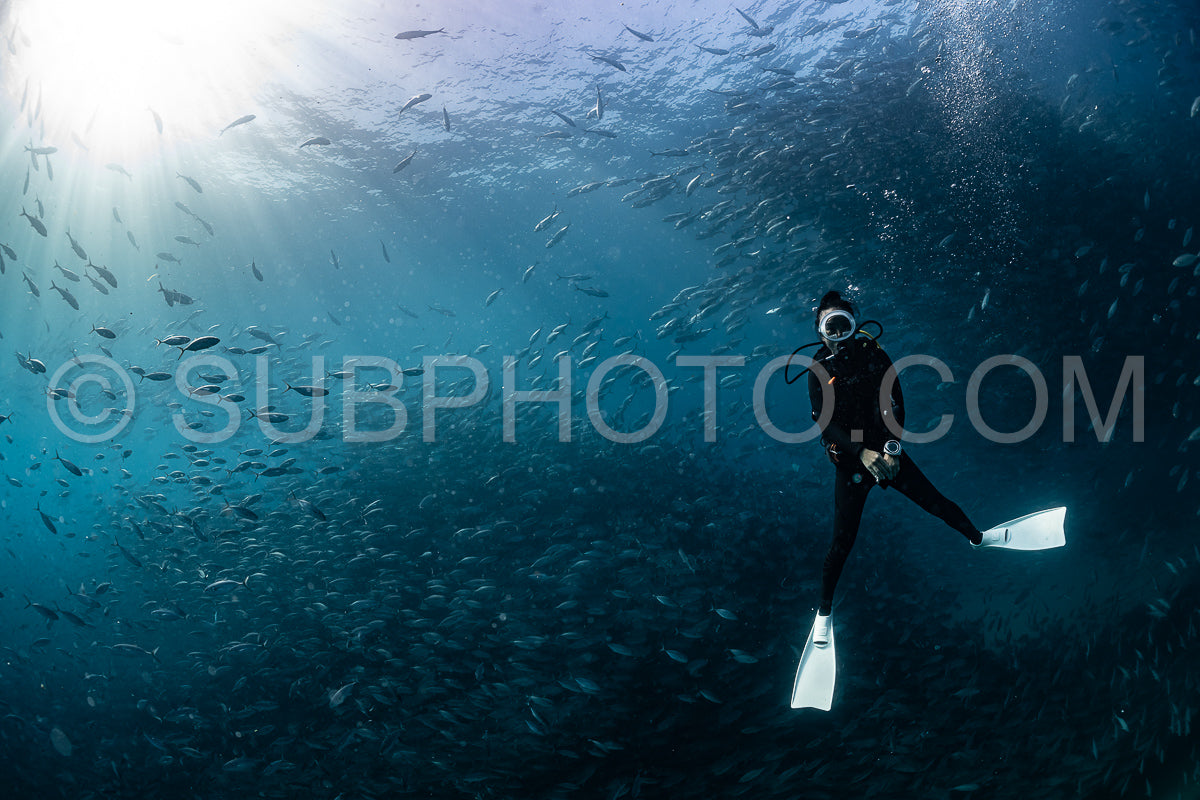 scuba diver with Cabo Pulmo jack tornado under sunny sky