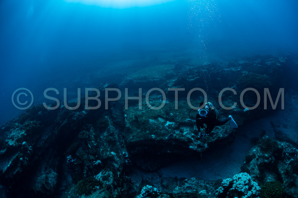 scuba diver over Cabo Pulmo reef in Baja California Mexico