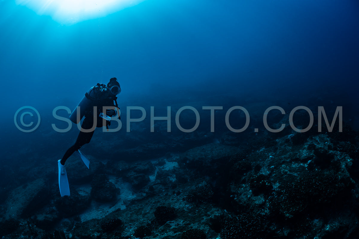 scuba diver over Cabo Pulmo reef in Baja California Mexico