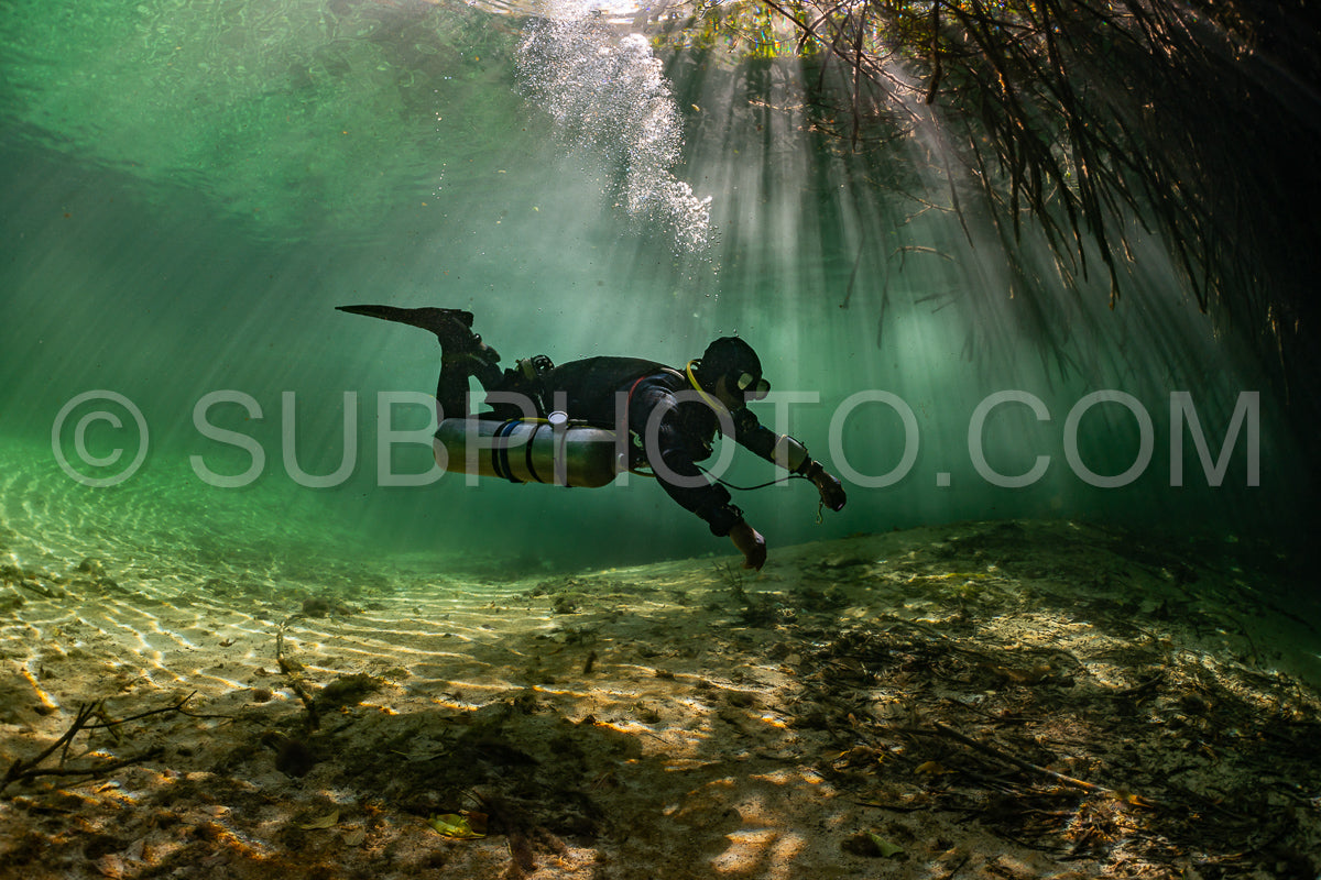 cave diver instructor leading a group of divers in a mexican cenote underwater