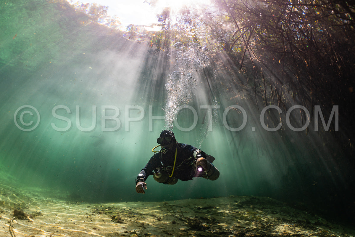 cave diver instructor leading a group of divers in a mexican cenote underwater