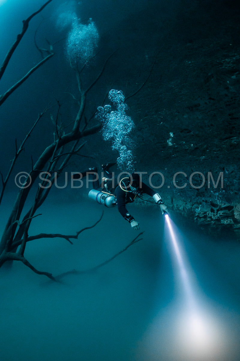 Photo de instructeur de plongée spéléo dirigeant un groupe de plongeurs dans un cenote mexicain sous l'eau