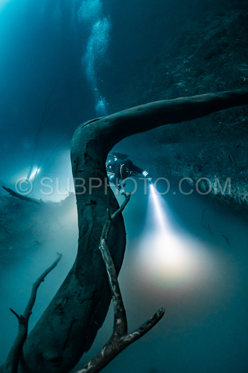 cave diver instructor leading a group of divers in a mexican cenote underwater
