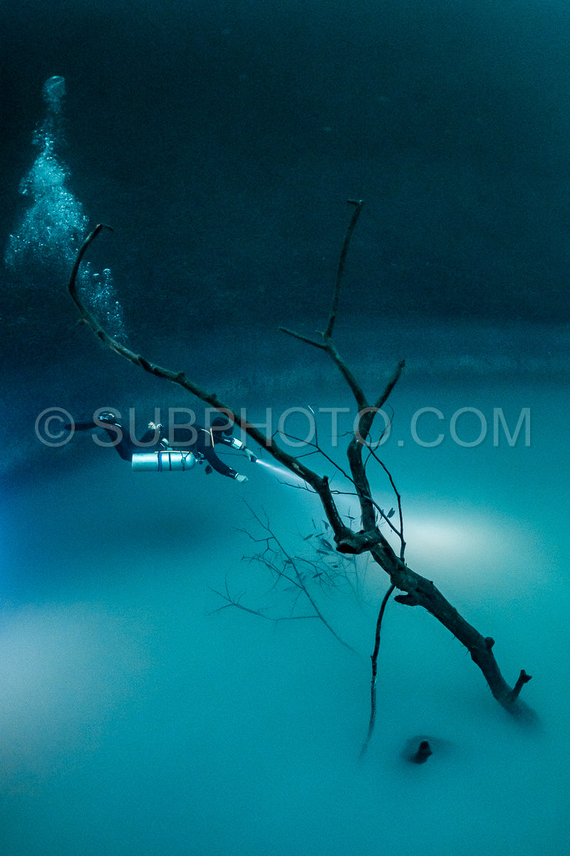 cave diver instructor leading a group of divers in a mexican cenote underwater
