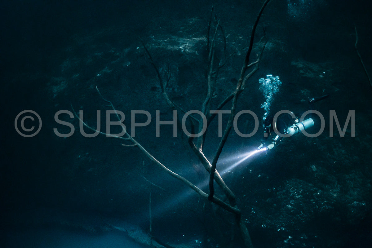 Photo de instructeur de plongée spéléo dirigeant un groupe de plongeurs dans un cenote mexicain sous l'eau