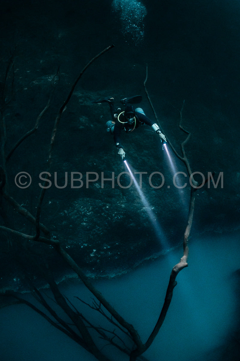 Photo de instructeur de plongée spéléo dirigeant un groupe de plongeurs dans un cenote mexicain sous l'eau