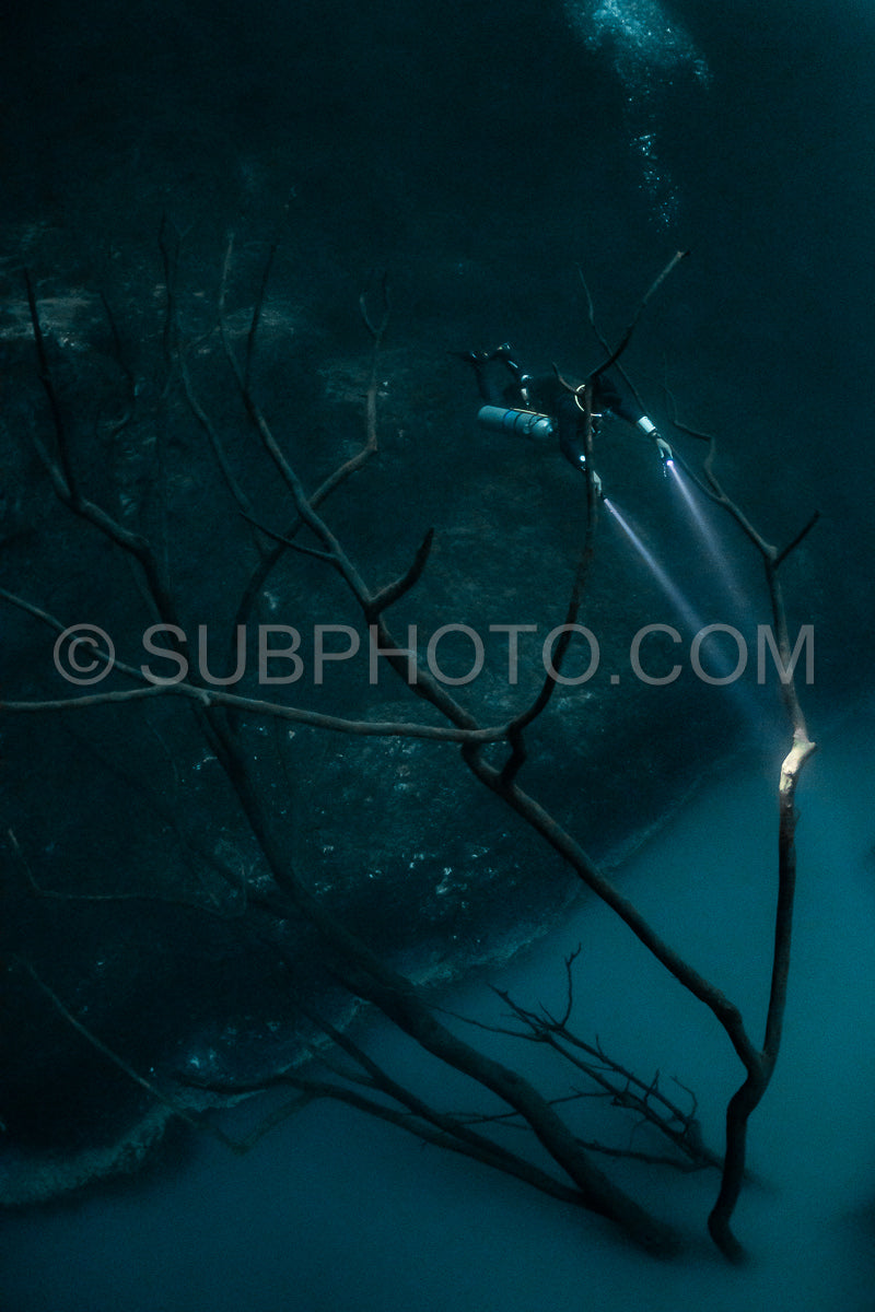 Photo de instructeur de plongée spéléo dirigeant un groupe de plongeurs dans un cenote mexicain sous l'eau