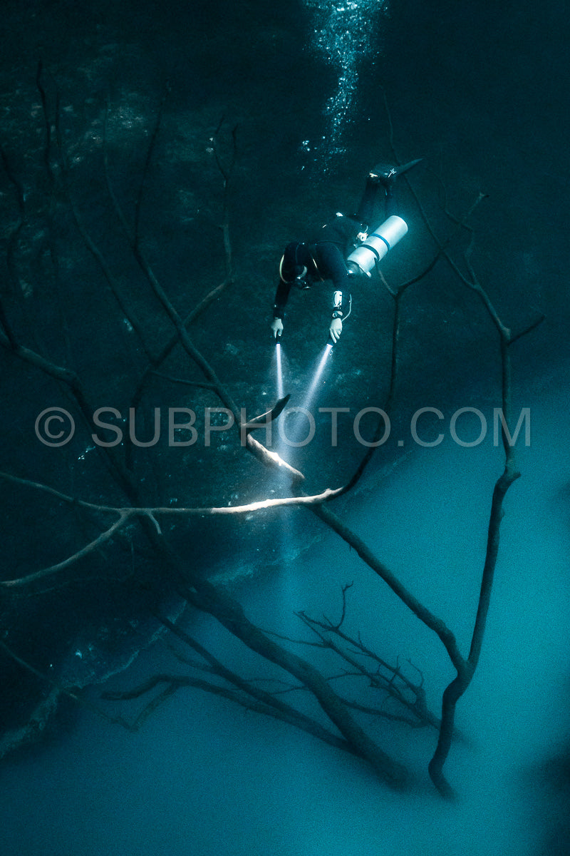 cave diver instructor leading a group of divers in a mexican cenote underwater
