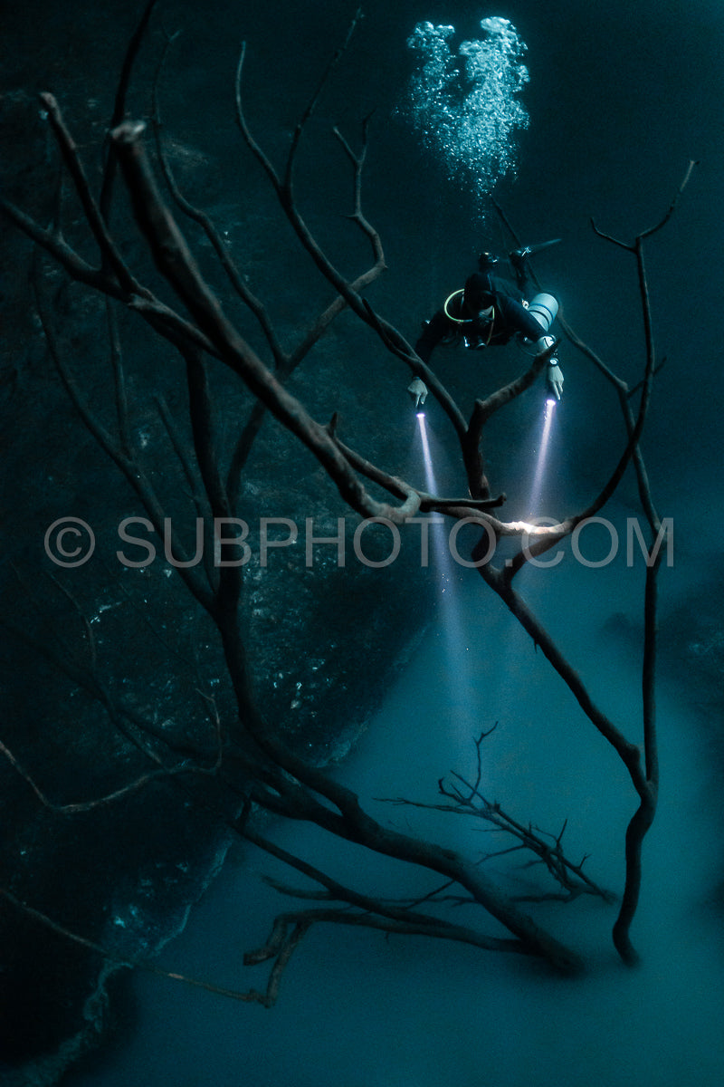 Photo de instructeur de plongée spéléo dirigeant un groupe de plongeurs dans un cenote mexicain sous l'eau