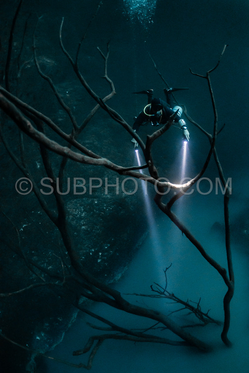 cave diver instructor leading a group of divers in a mexican cenote underwater