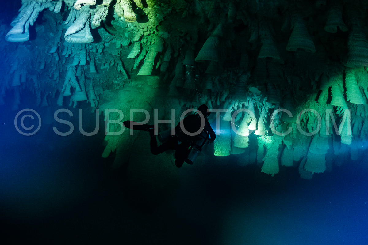 Photo de instructeur de plongée spéléo dirigeant un groupe de plongeurs dans un cenote mexicain sous l'eau