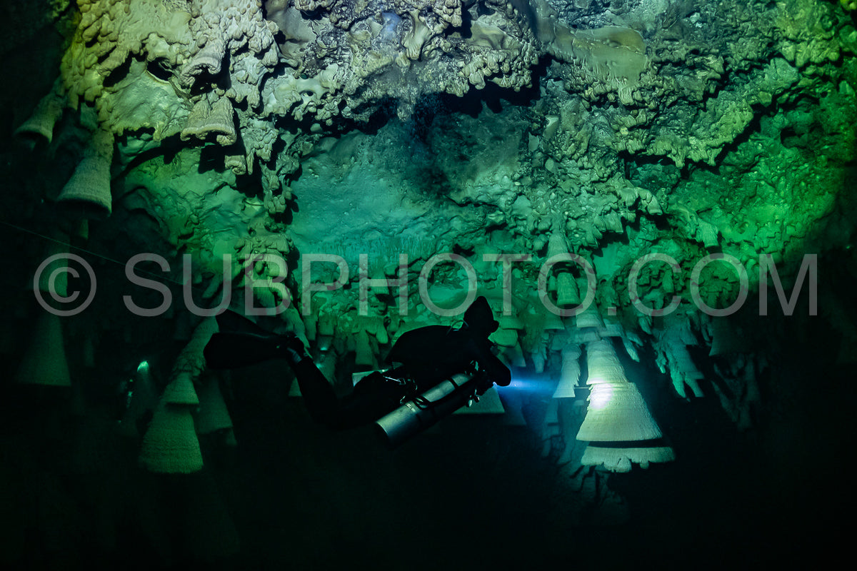 Photo de instructeur de plongée spéléo dirigeant un groupe de plongeurs dans un cenote mexicain sous l'eau