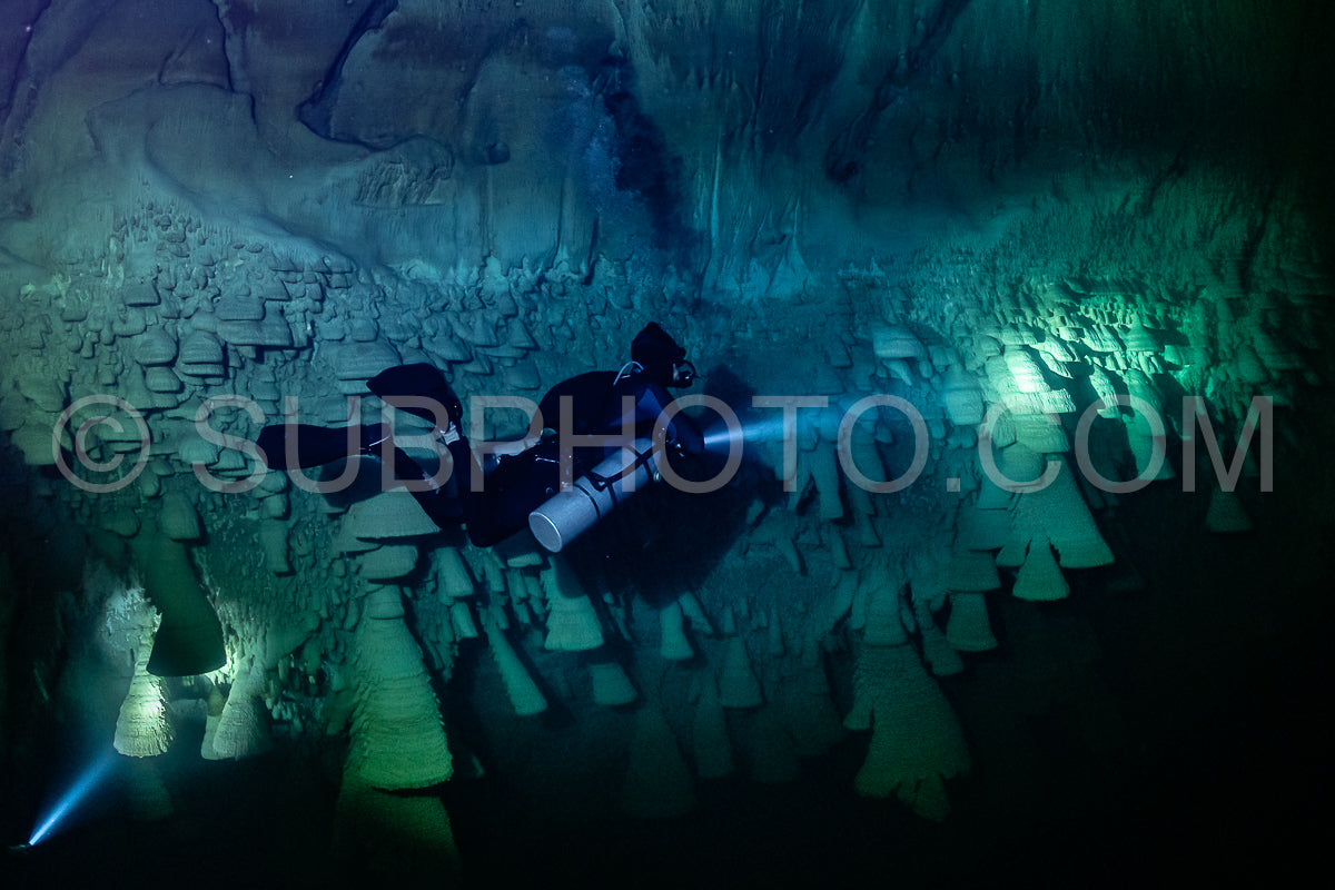 Photo de instructeur de plongée spéléo dirigeant un groupe de plongeurs dans un cenote mexicain sous l'eau