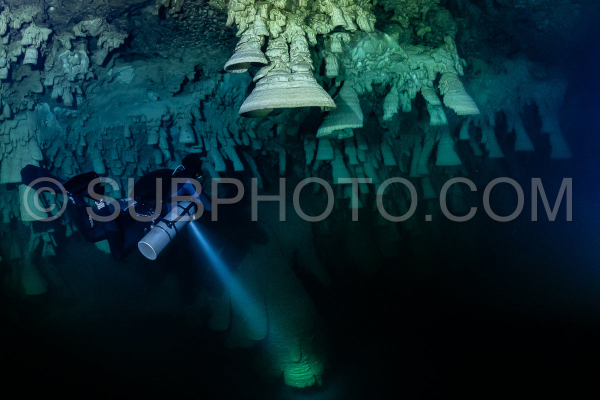 Photo de instructeur de plongée spéléo dirigeant un groupe de plongeurs dans un cenote mexicain sous l'eau