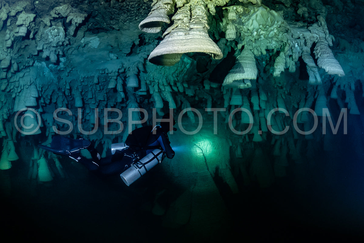 Photo de instructeur de plongée spéléo dirigeant un groupe de plongeurs dans un cenote mexicain sous l'eau