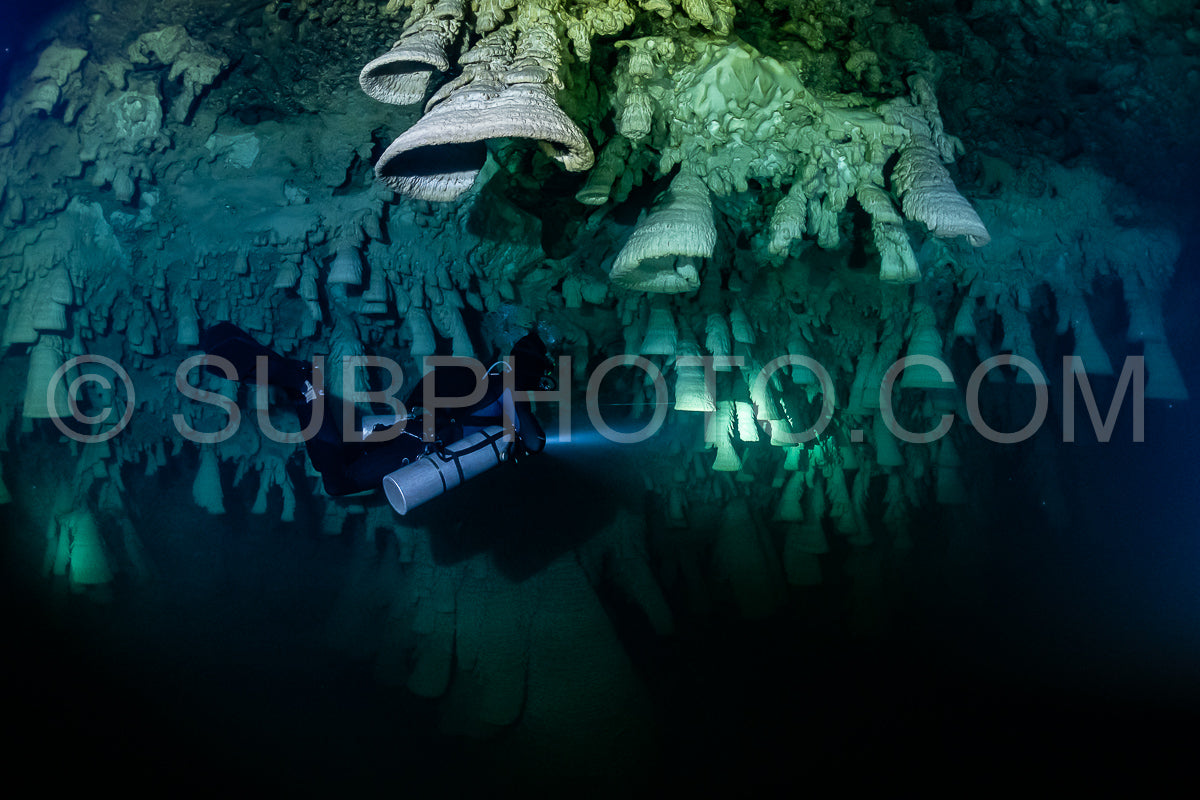 cave diver instructor leading a group of divers in a mexican cenote underwater