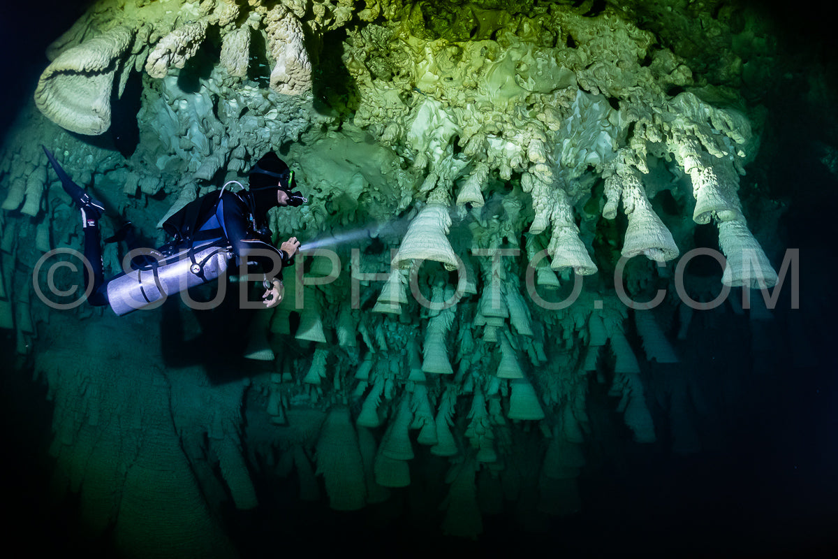Photo de instructeur de plongée spéléo dirigeant un groupe de plongeurs dans un cenote mexicain sous l'eau