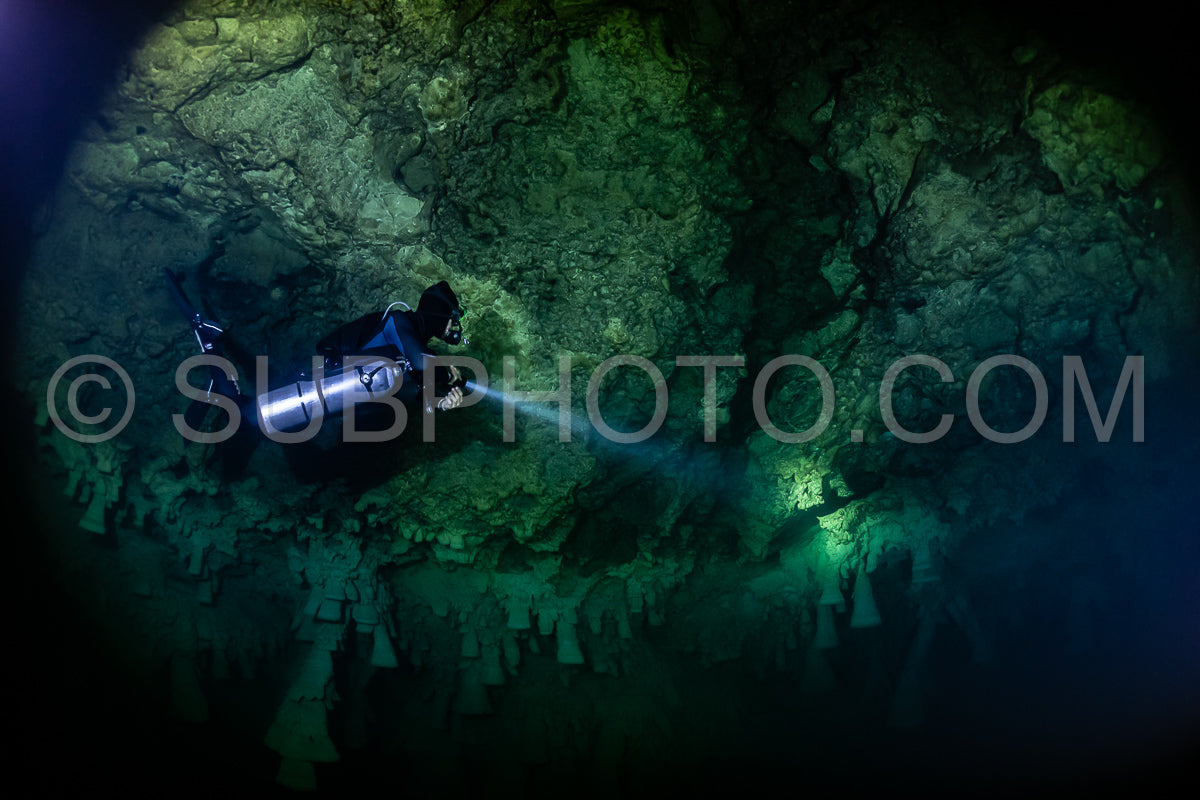 Photo de instructeur de plongée spéléo dirigeant un groupe de plongeurs dans un cenote mexicain sous l'eau