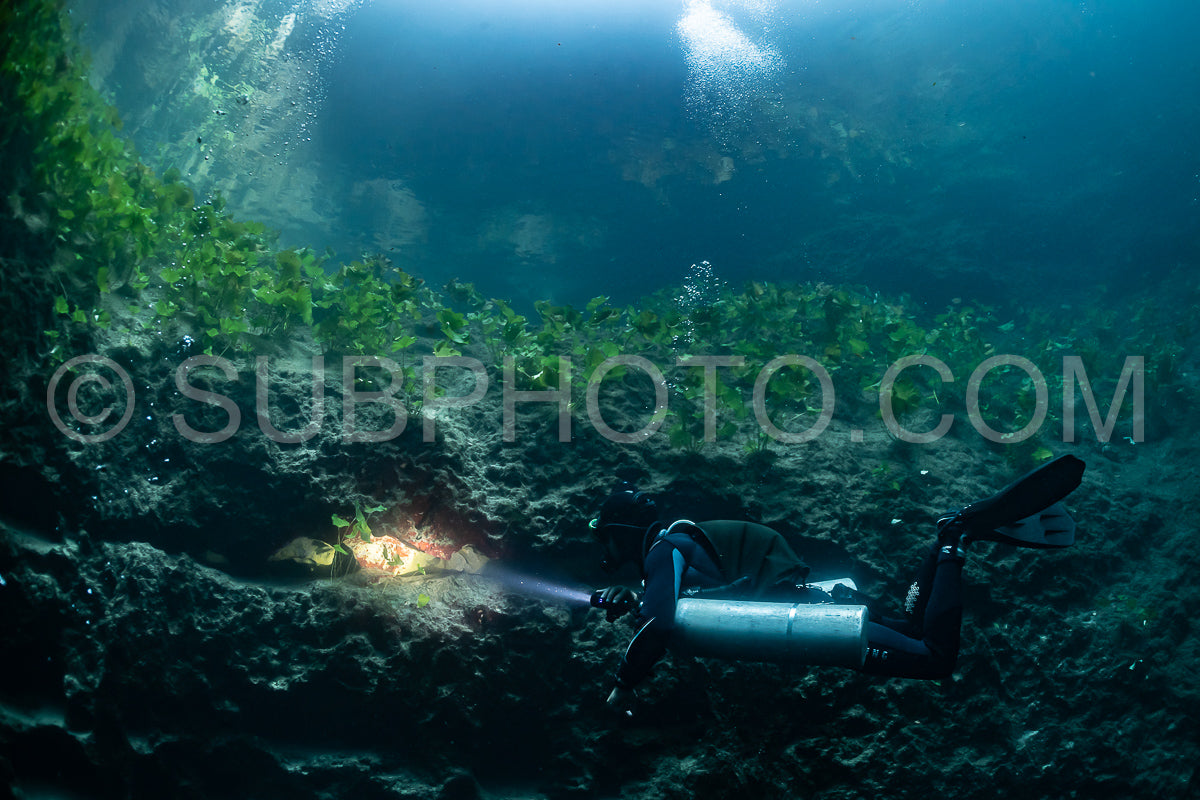 Photo de instructeur de plongée spéléo dirigeant un groupe de plongeurs dans un cenote mexicain sous l'eau