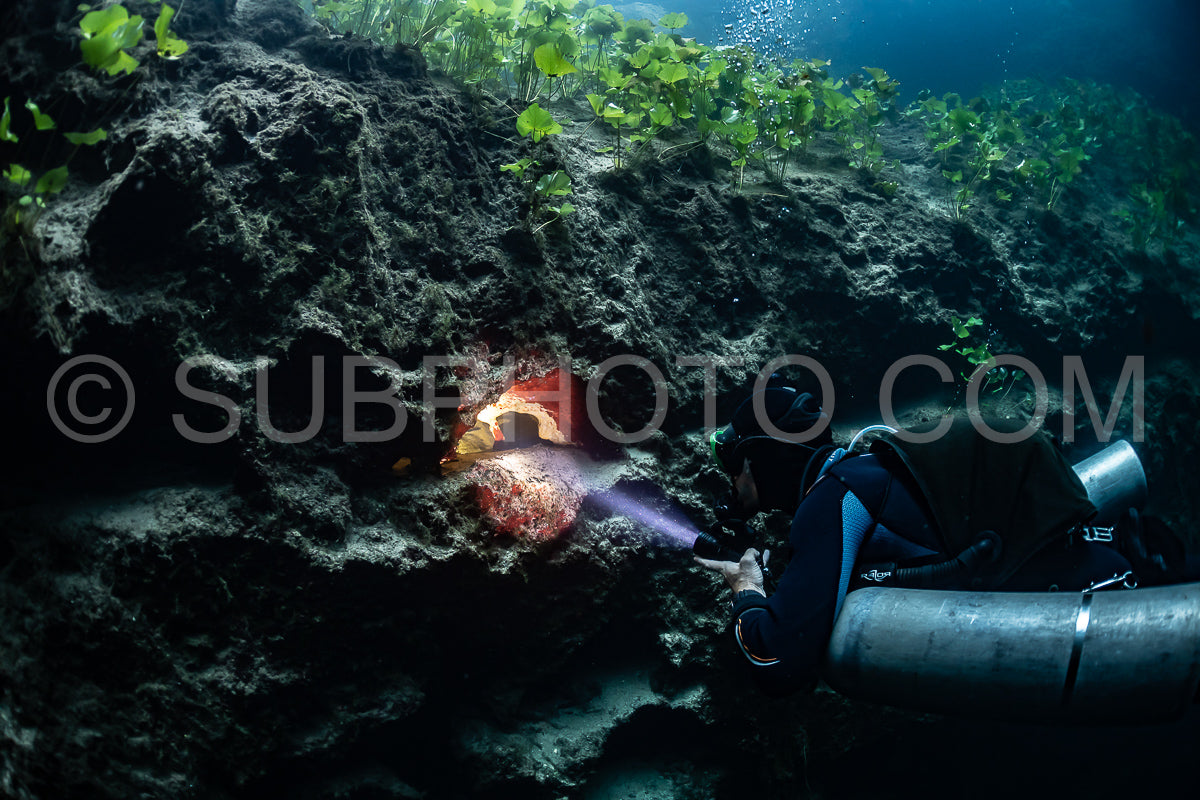 Photo de instructeur de plongée spéléo dirigeant un groupe de plongeurs dans un cenote mexicain sous l'eau
